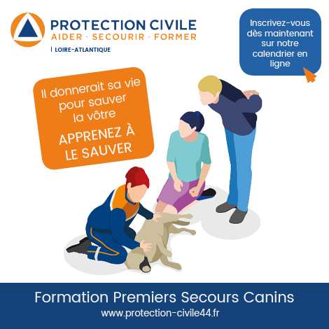 formations secours canins